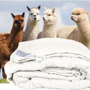 iSleep Alpaca wollen enkel dekbed - Tweepersoons - 200x220 cm (7434043595569)