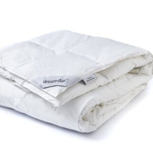 Dreamstar Dekbed Xperience 90% Eendendons 200x220 (8719497310036)