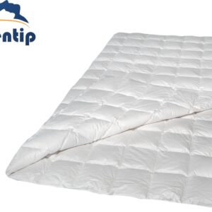 Sentip dekbed - dekbedden - GANZENDONS - DONZEN - DONS - 200x200 - KATOEN - all year (6013914390383)