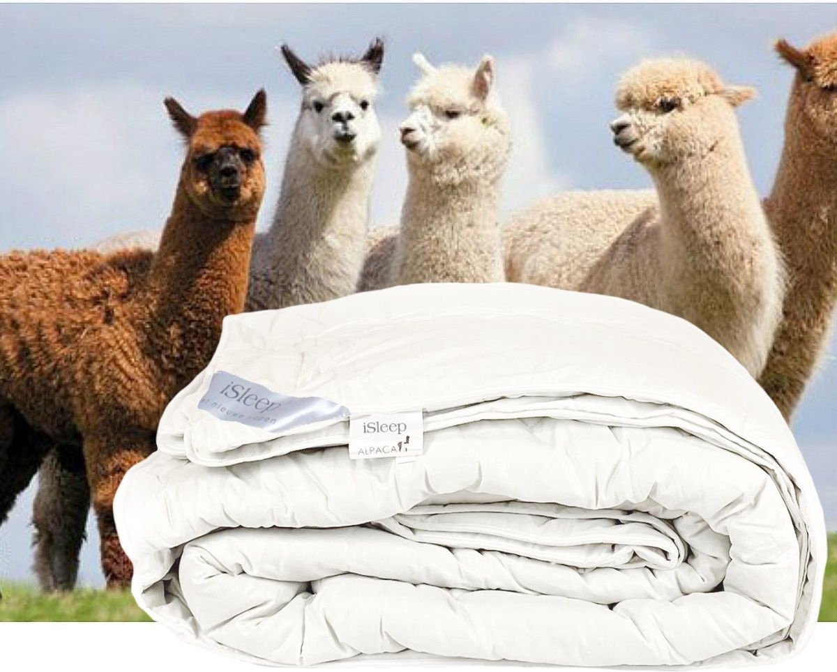 iSleep Alpaca wollen 4-seizoenen dekbed - Tweepersoons - 200x220 cm (7434043594593)