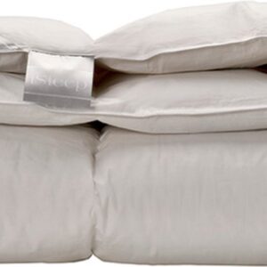 iSleep Dekbed - 15% Dons - Warmteklasse 1 - Tweepersoons - 200x200 cm - Wit (8720289819583)