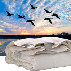 iSleep Donzen 4-Seizoenen Dekbed - 100% Eendendons - Tweepersoons - 200x200 cm (8721067000421)