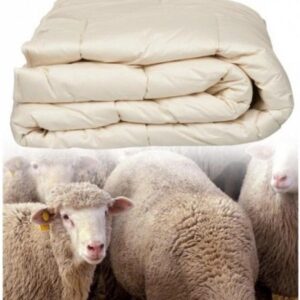 Dekbed 200x200 4-seizoenen van Texels Schapenwol (7442148053082)