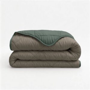 Aurello dekbed zonder overtrek Uni Tweezijdig - 200x200 cm met kussenslopen - Lazy dekbed - 100% Polyester - Groen / Taupe (6153534992939)
