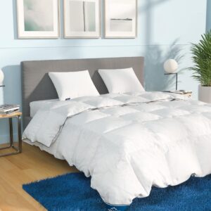 All-Year Dons Dekbed 200x220 cm Met Franse Eenden Dons Vulling (9101074705929)