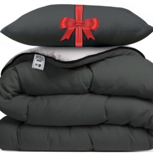 Avenue - Dekbed zonder overtrek 200x200 cm Antraciet/Taupe + Hoofdkussen 60x70 cm Antraciet - Hoesloos - Anti-allergisch & wasbaar op 60°C - All Year comfort slaapbundel (8721184353455)