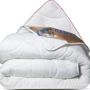Avenue - Geavanceerd 4 Seizoenen Dekbed 200x200 cm - Anti Allergie Dekbed Met Twee Delen - Wolkenzacht en Soepel - Tweepersoons Dekbed - Zomerdekbed & Winterdekbed (8720618169921)