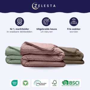 2-in-1 Wasbaar Dekbed Zonder Overtrek - Hypoallergisch 200x200 cm (9101031998319)
