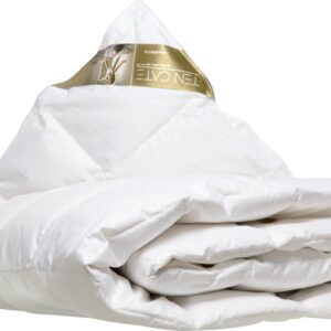 Ten Cate Dekbed - Zomerdekbed - Zomerdekbed 240x220 - Donsdeken - Dekbedden - Donzen Dekbed 240 x 220 - Dekbed 240x200 - Donsdeken 240 x 220 - 100% Ganzendons (8720143561863)