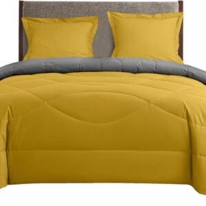 4-Seizoenen Dekbed 200x200 cm - Zomerdekbed en Warm Dekbed - Anti-allergisch Katoen - Geschikt voor Tweepersoonsbed (9101024838455)