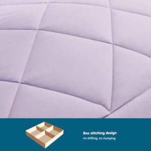 4-seizoenendekbed 200x200 cm - Synthetisch microvezel - Lila - Geschikt voor herfst en winter - 300 g/m² vulling (8785365072337)