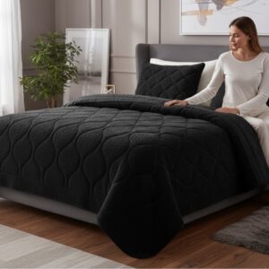 Bedsupplies - Lazy Dekbed - Dekbed Zonder Overtrek - Teddy - 200x200 - Met Kussenslopen 60x70 - Zwart (0710663681019)