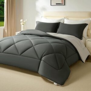 Winterdekbed 200x200 cm met kussenslopen - Gewatteerd microvezel dekbed voor koude nachten (8785364666278)