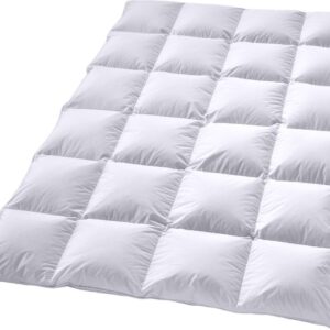 Zavelo Dik Hollands Donzen 4-Seizoenen Dekbed - 2-persoons (200x220 cm) - Warmteklasse 1 - Heerlijk Warm - Extra Dik (8718889109562)
