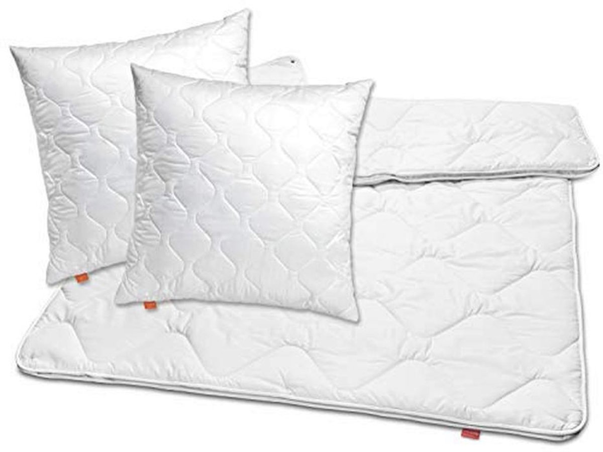 4-seizoenen dekbed 200x200 cm met 2 kussens 80x80 cm - wasbaar, Oeko-Tex, hypoallergeen, ideaal voor het hele jaar (9101005308724)
