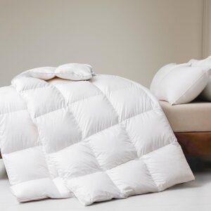 Licht Zomer Dekbed 200x200 cm - 100% Katoen & Ganzaandrijving - Oeko-Tex & RDS Gecertificeerd (9101060610213)