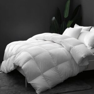 Luxe Donzen Dekbed 200x200 cm - Warme Vierseizoenen Dekbed met 40% Dons en Katoenen Tijk (9101060669617)