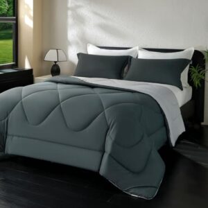 Omkeerbaar Dekbed 200x200 cm 4-Seizoenen Microvezel - Koolgrijs/Lichtgrijs - OEKO-TEX 300 GSM (8785365137531)