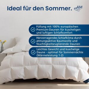 Zomerdekbed Dons - Licht Dekbed - Optimale Slaapcomfort - 100% Frans Dons - 200x200 cm (9101154365982)